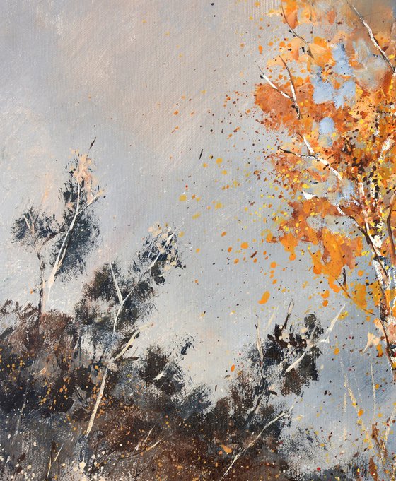Aspen trees in autumn