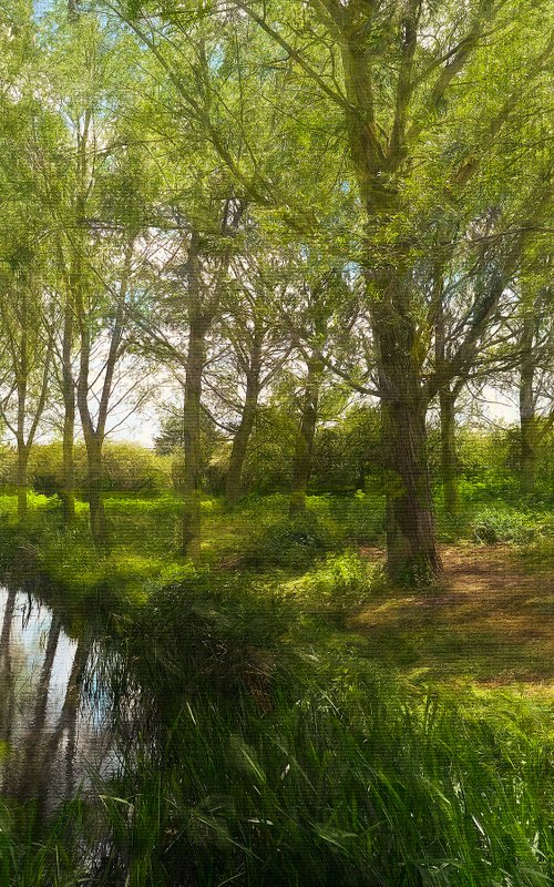 The Quiet Stream by Martin  Fry