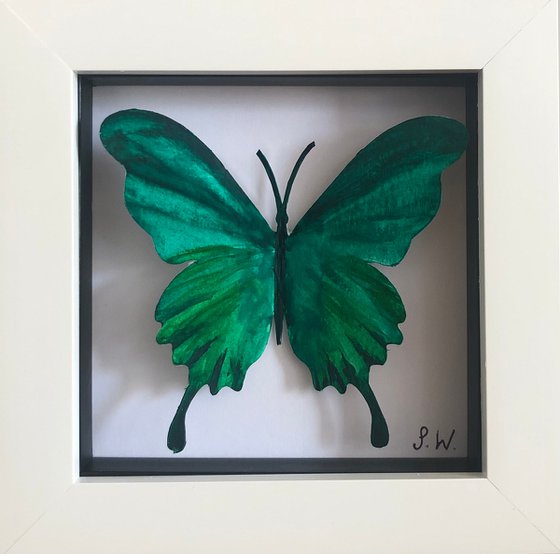 Single Butterfly Box - emerald