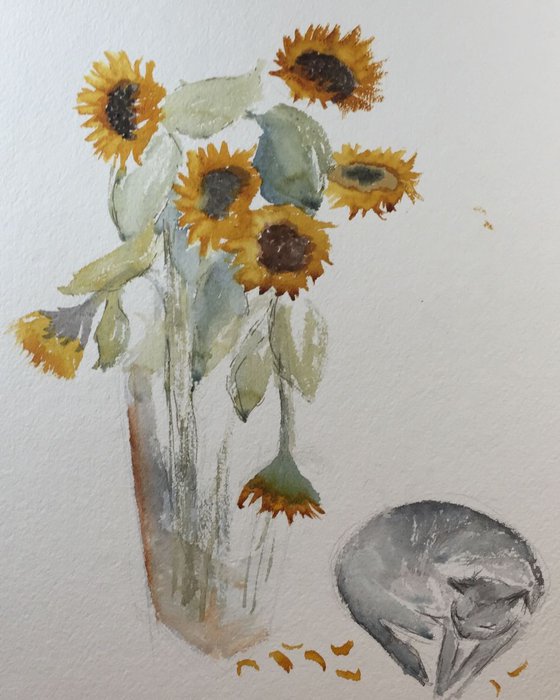 Sunflowers and cat