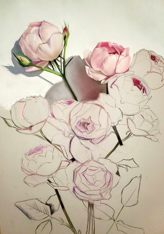 Pale Roses