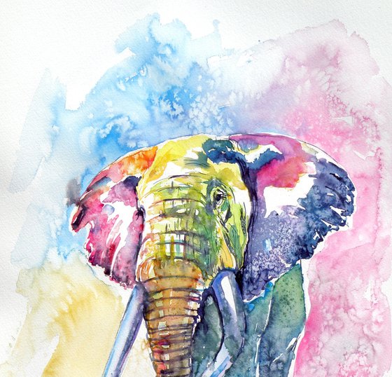 Colorful elephant III