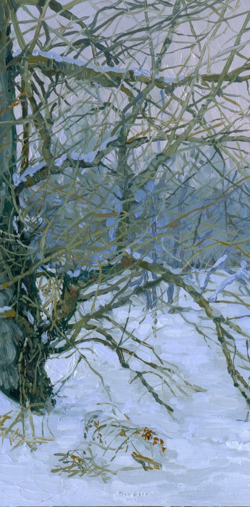 Winter by Simon Kozhin