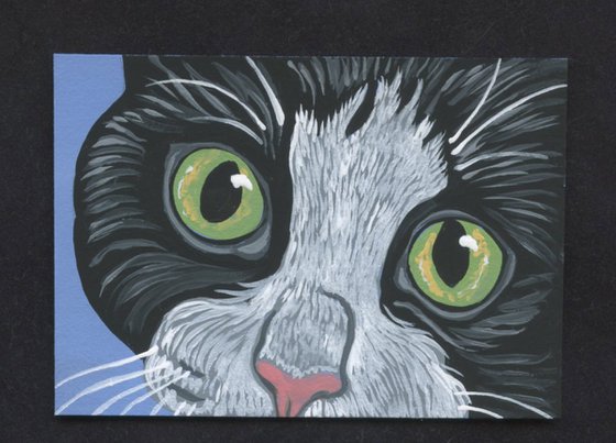 ACEO ATC Original Miniature Painting Tuxedo Cat Pet Feline Art-Carla Smale