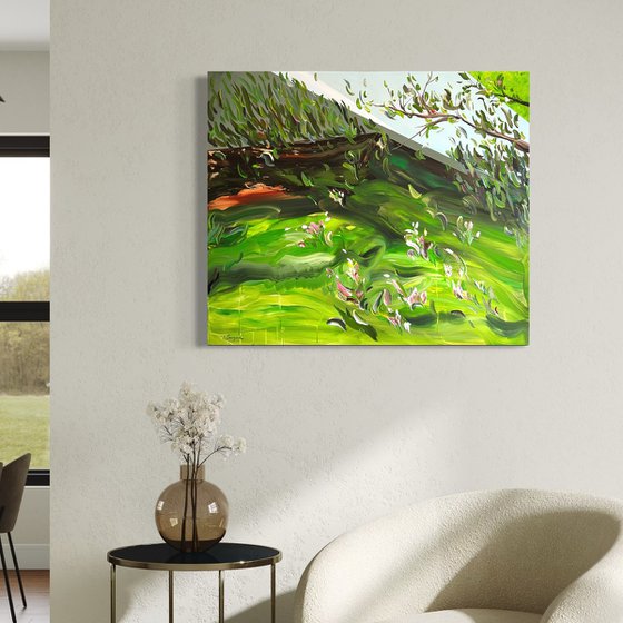 Where light takes root