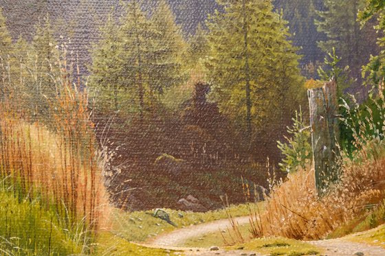 Path to the mountains