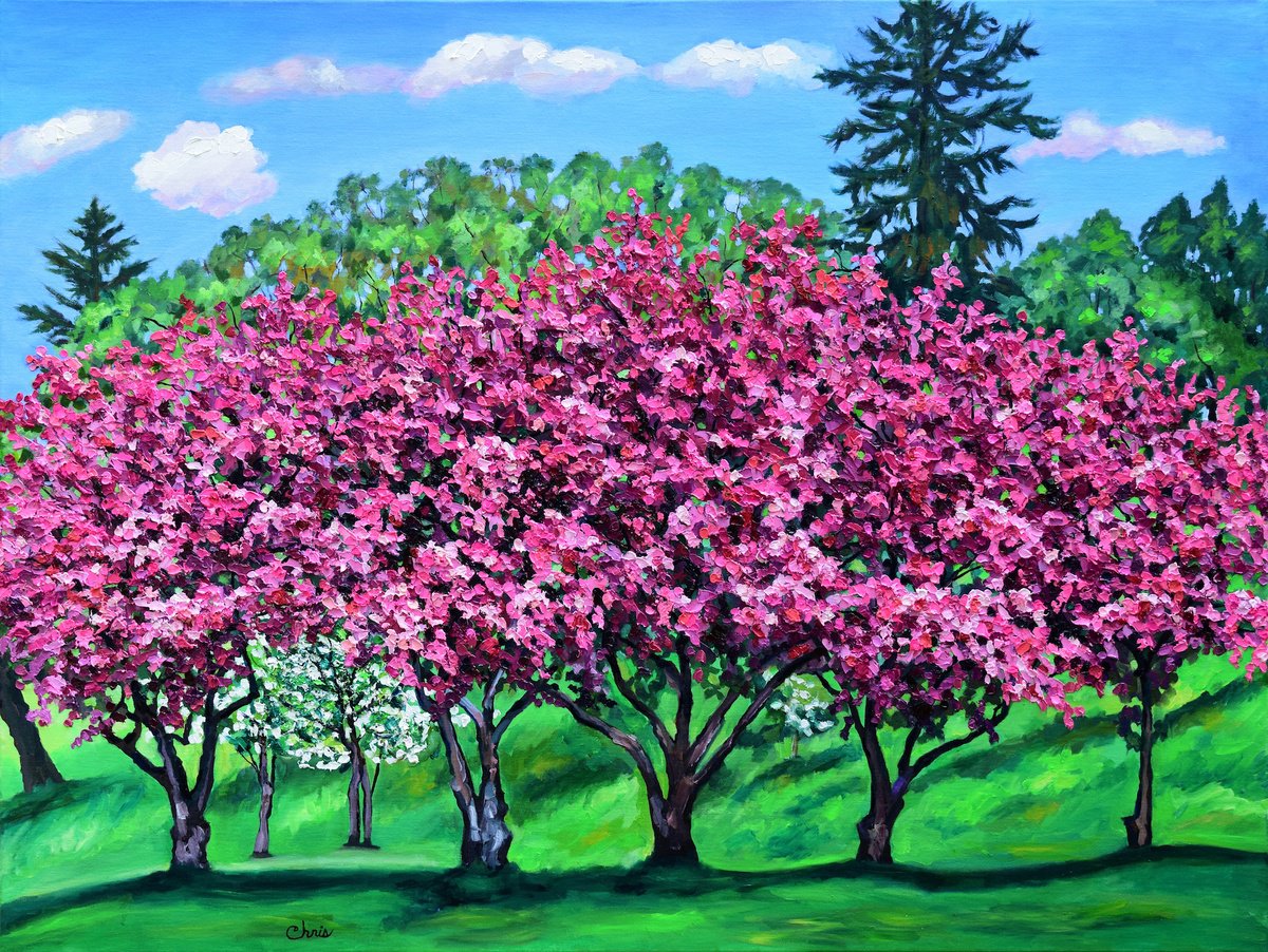Impressionistic Landscape Oil Painting By Christina M Plichta, 40 X 30, Crabapple Canopy Ii, Original Artwork