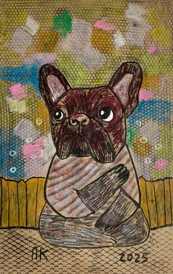 French bulldog corporation #15
