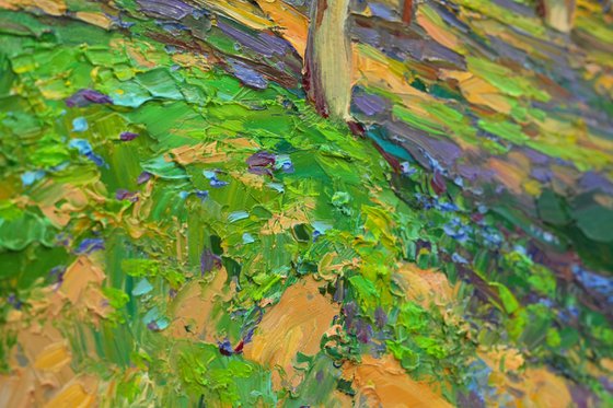 Spring forest