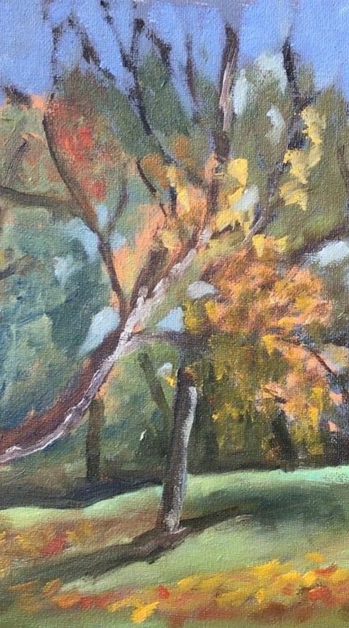 Autumn in the park, an original impressionist oil painting by Julian Lovegrove Art
