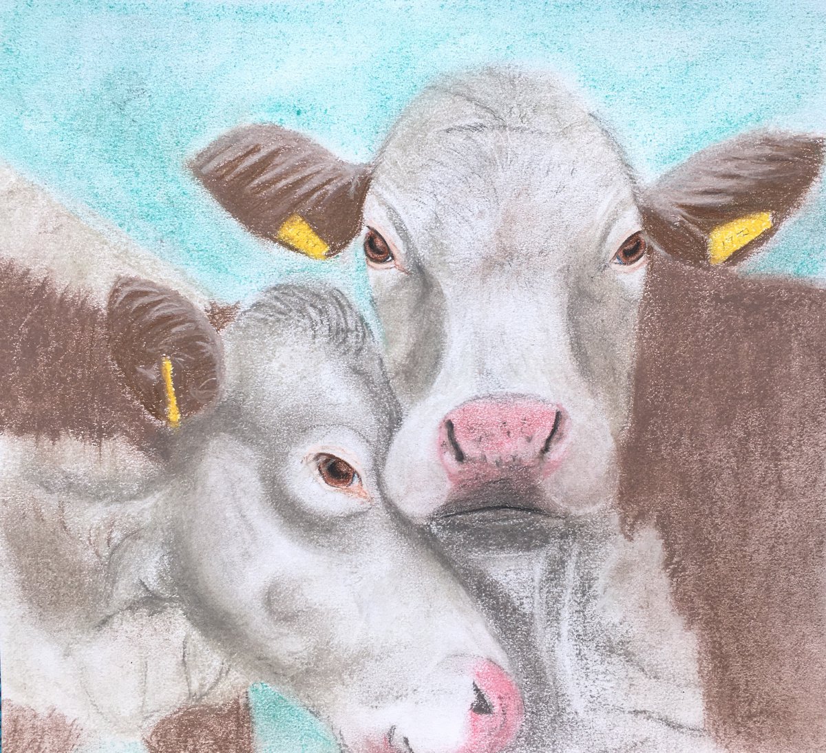 Cow friendship by Ruth Searle