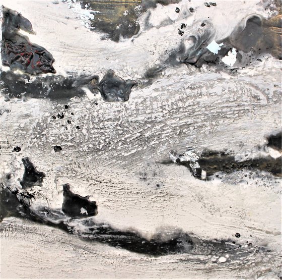 Yin Yang Ocean