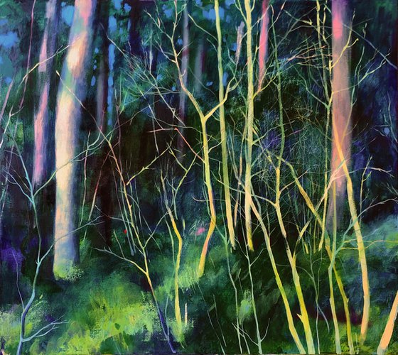 Forest study