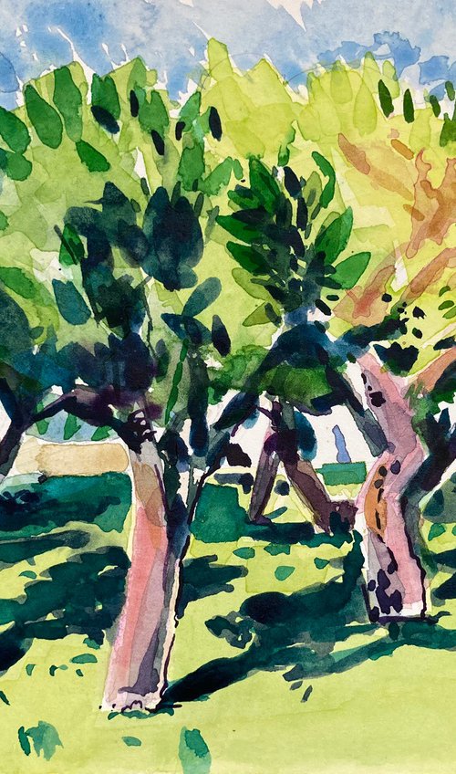 Orange Trees, Villa Gioia by Paul Gurney