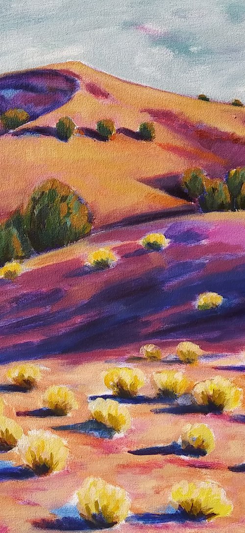 Desert Shadows II by Lorie Schackmann