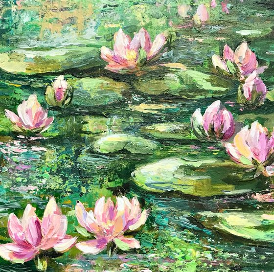 Pink Water Lilies