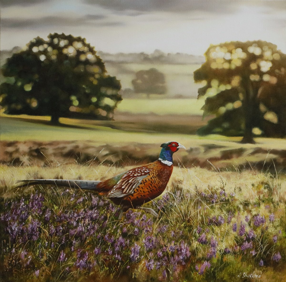 Photorealistic Oil Painting , Pheasant In Sunrise Field Scene By Natalia Shaykina, 24 X 24, Artwork For Sale On Artfinder