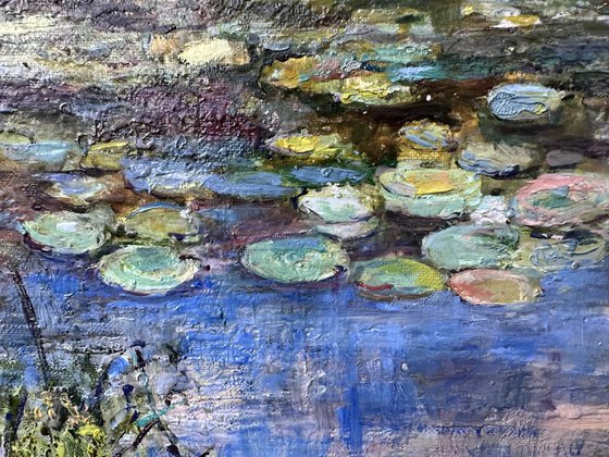 Lotus Pond in Kerala, India