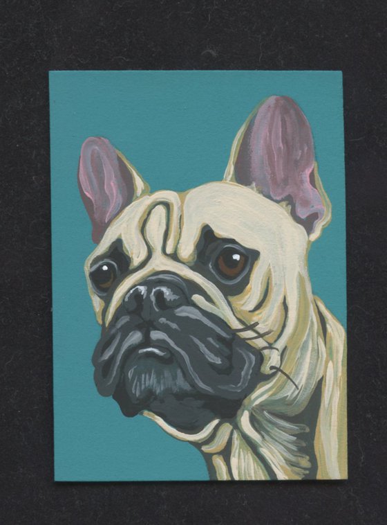 ACEO ATC Original Miniature Painting  French Bulldog Pet Dog Art-Carla Smale