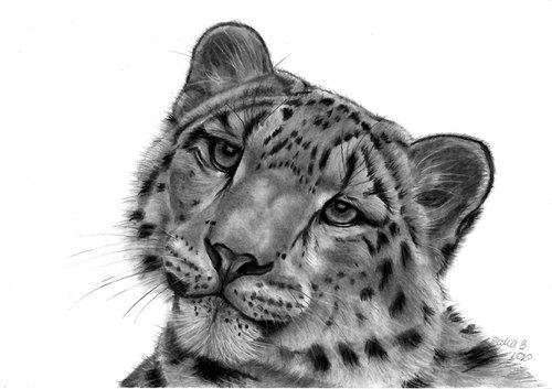Leopard by Dalia Binkiene