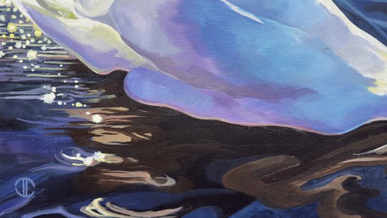 Sunlit Swan Glinting Water