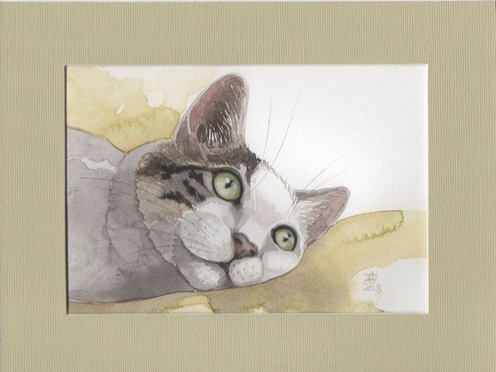 Cat's dreams * free shipping *