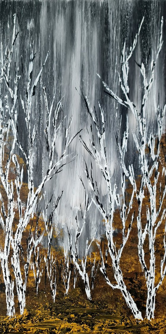 Birches In Winter