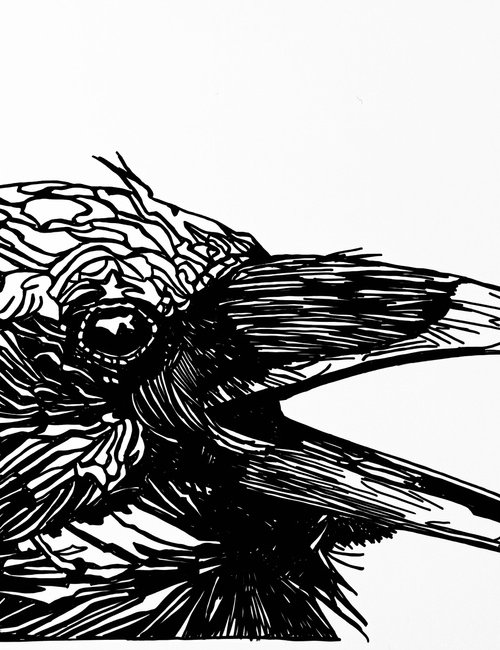 Crows Are Family, Too by Lola Jovan