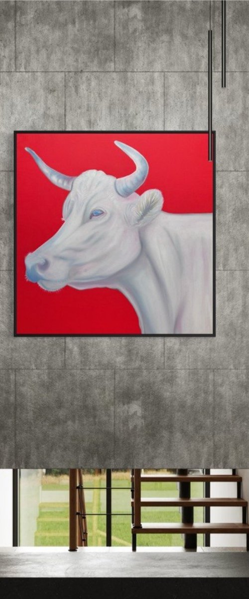 White cow by hlole