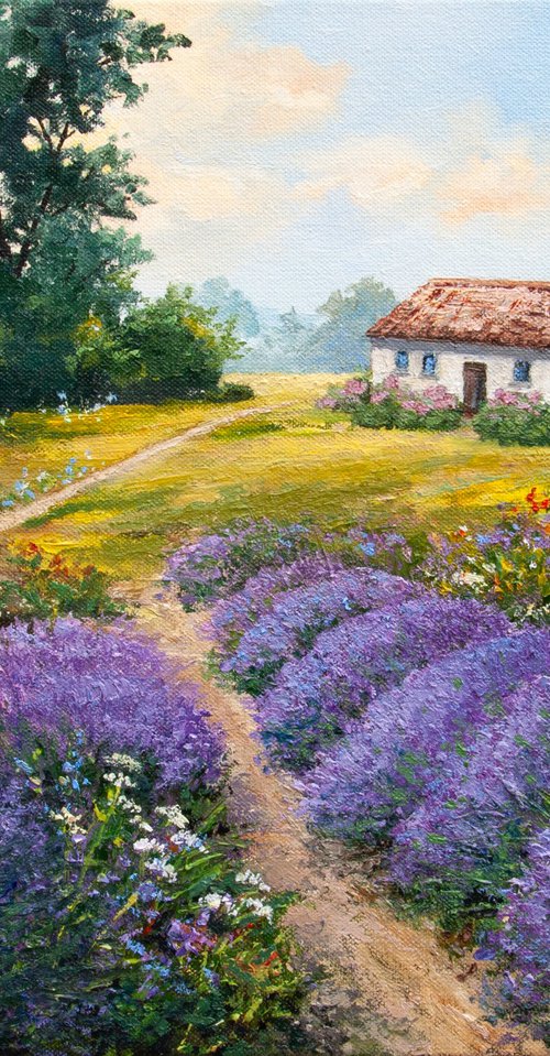 Lavender fields by Tetiana Vysochynska