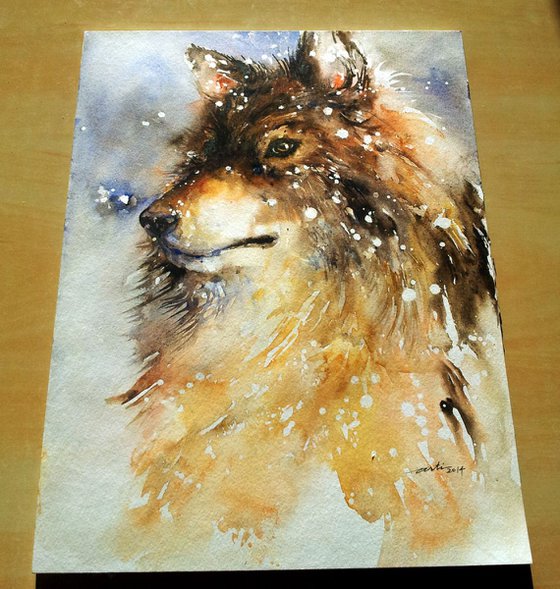 Wolfdog in Snow