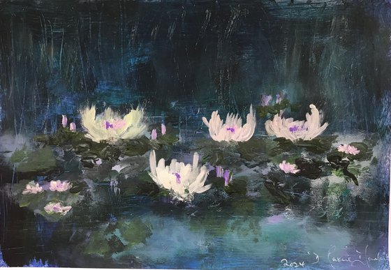 Waterlilies in the mist