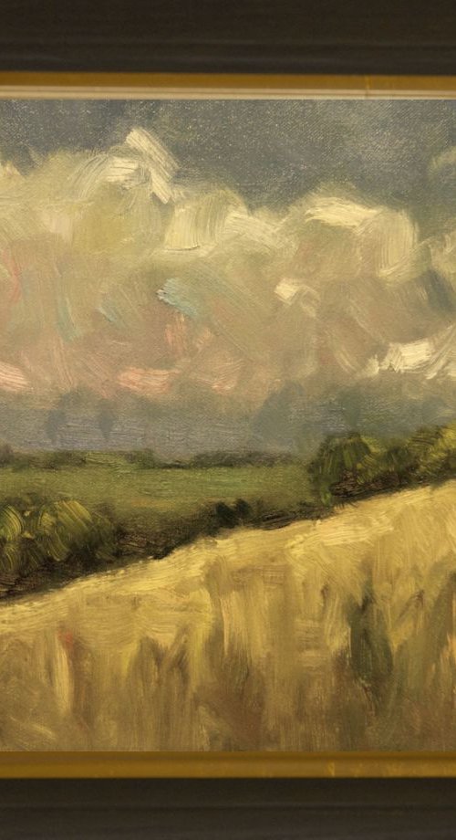 Yellow Field at Wepham by Andre Pallat