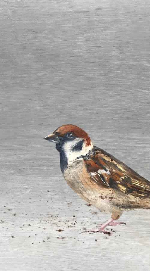 Sparrow II by Laure Bury