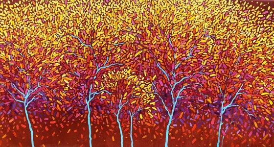 Colourful Forest