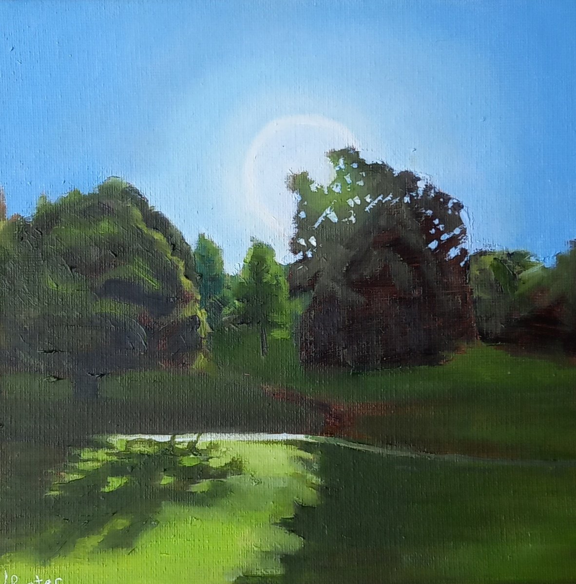 Landscape Oil Painting By Lisa Punter, 8 X 8", October Light, Original Artwork