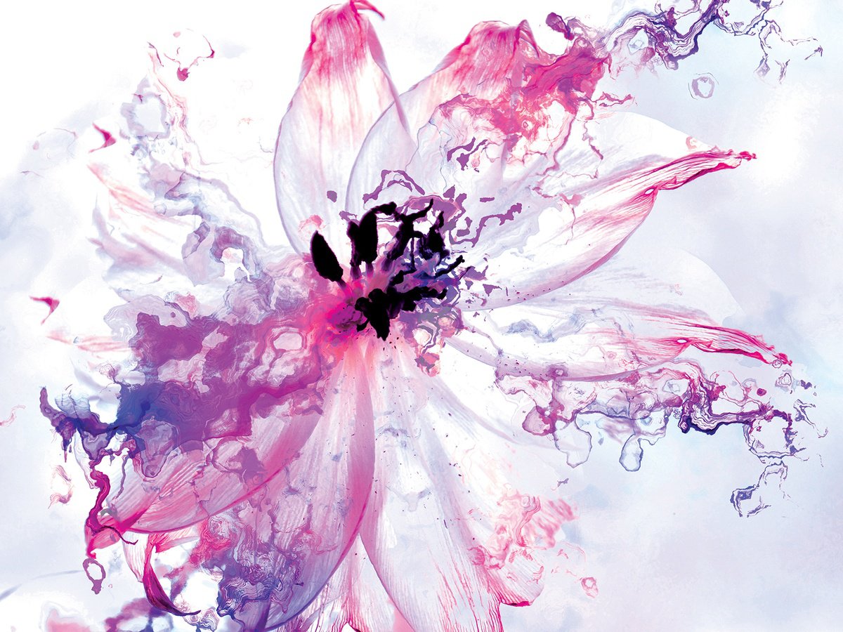 Abstract Botanical Print By Javier Diaz, 79 X 60, Flores Al Viento, Original Artwork