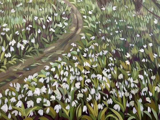 Springtime in the Woods III