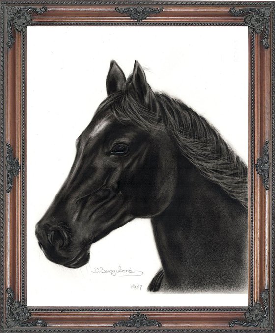 Oil painting ,,  Horse NOIR ,,