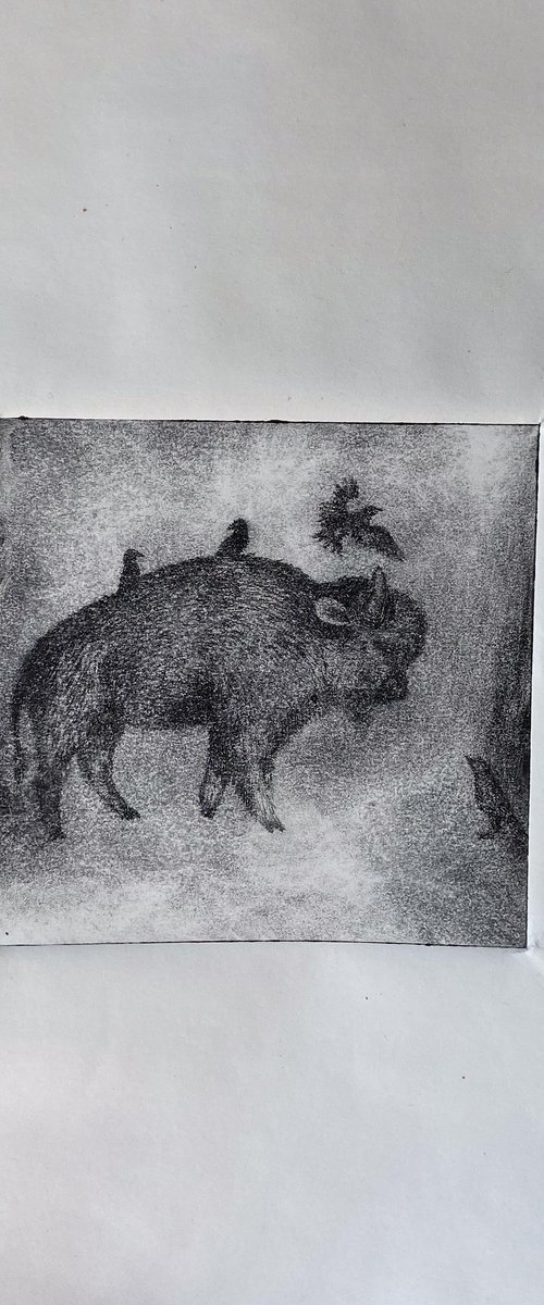 Buffalo And Starlings by Victoria Lucy Williams