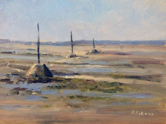 Low Tide near Noirmoutier