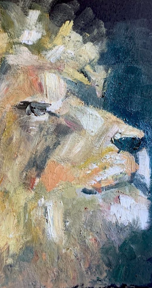 Lion by Ryan  Louder