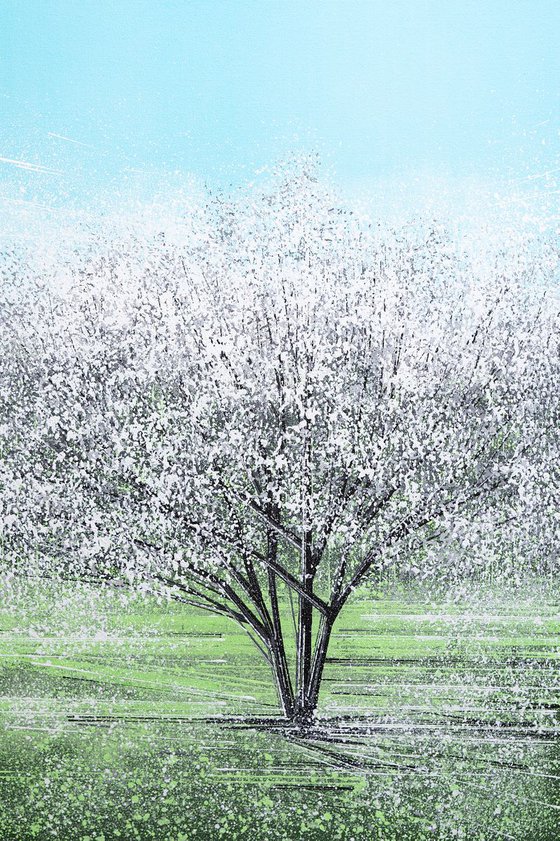 White Tree Blossom In Bright Light