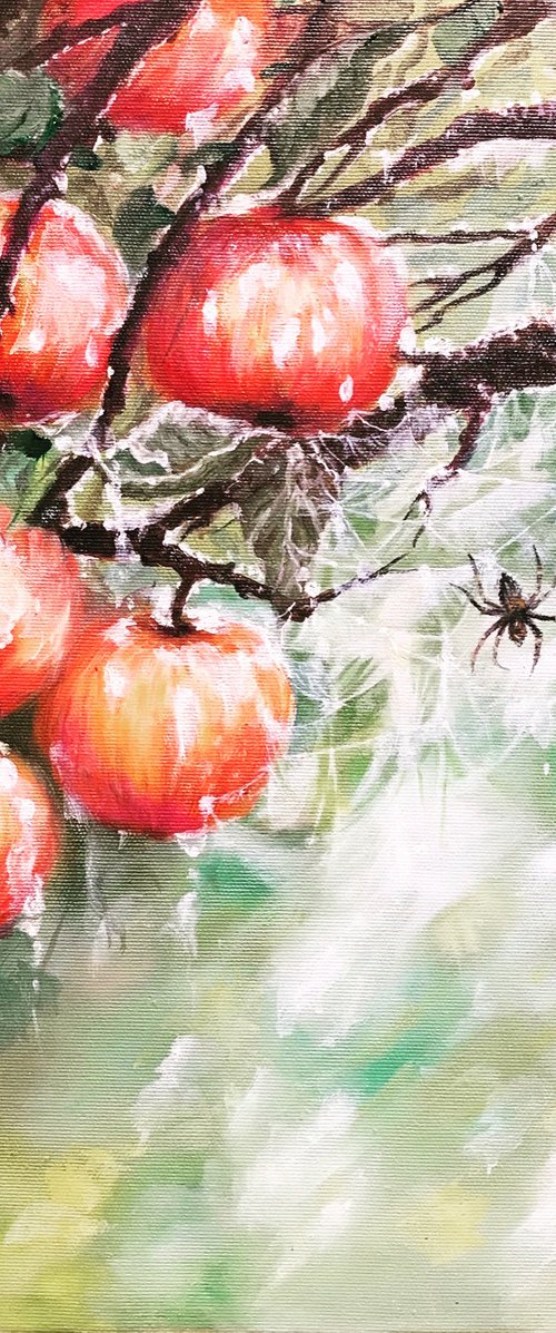 Apples and Spider by Krystyna Przygoda