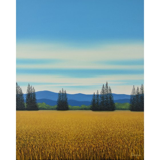 Gold Meadow - Blue Sky Landscape
