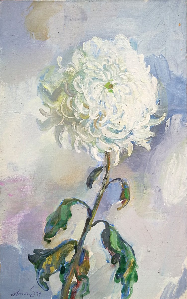 -White Chrysanthemum -? by Anna Silabrama