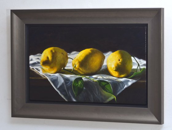 Three Lemons on a Damask Tablecloth