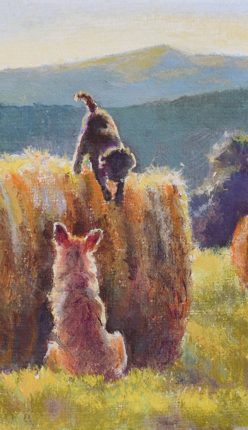 ‘Under the August sun’ by Lucia Verdejo