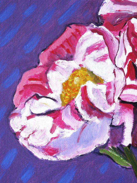 A Spray of Roses