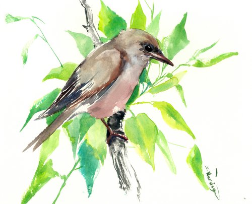 Garden Warbler, Bird artwork by Suren Nersisyan